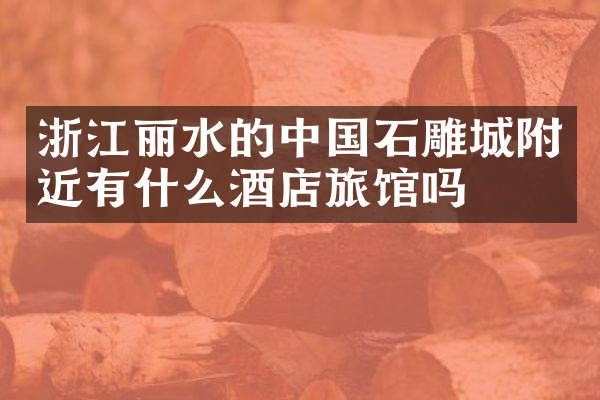 浙江丽水的中国石雕城附近有什么酒店旅馆吗