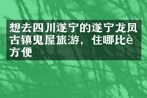 想去四川遂宁的遂宁龙凤古镇鬼屋旅游，住哪比较方便