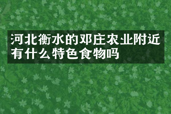 河北衡水的邓庄农业附近有什么特色食物吗