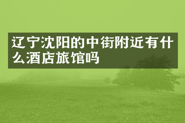 辽宁沈阳的中街附近有什么酒店旅馆吗
