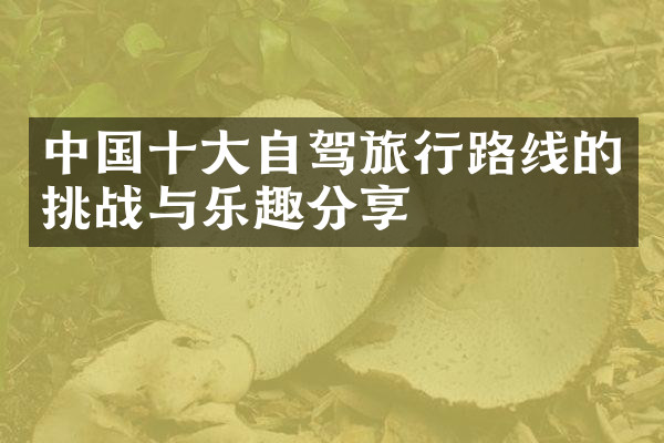 中国十大自驾旅行路线的挑战与乐趣分享