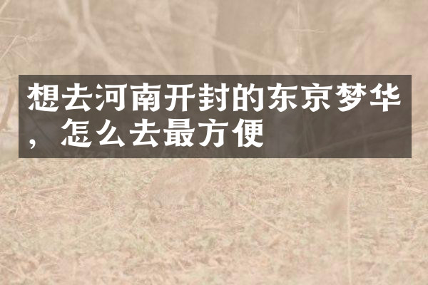 想去河南开封的东京梦华，怎么去最方便