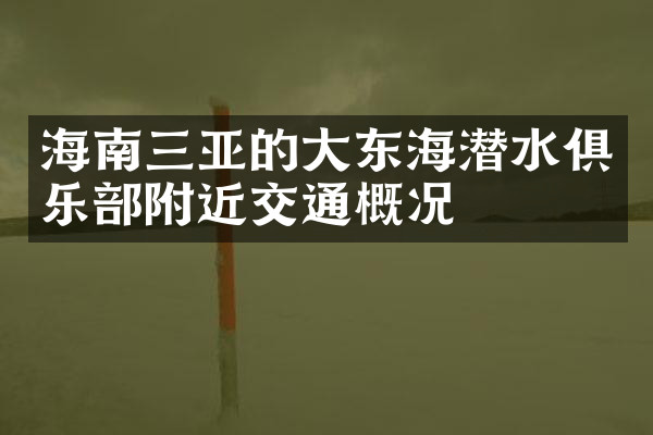 海南三亚的大东海潜水俱乐部附近交通概况