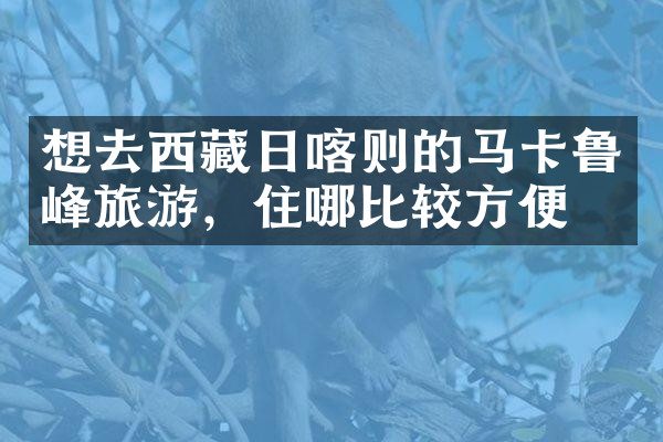 想去西藏日喀则的马卡鲁峰旅游，住哪比较方便