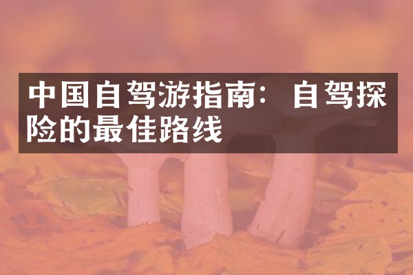 中国自驾游指南：自驾探险的最佳路线