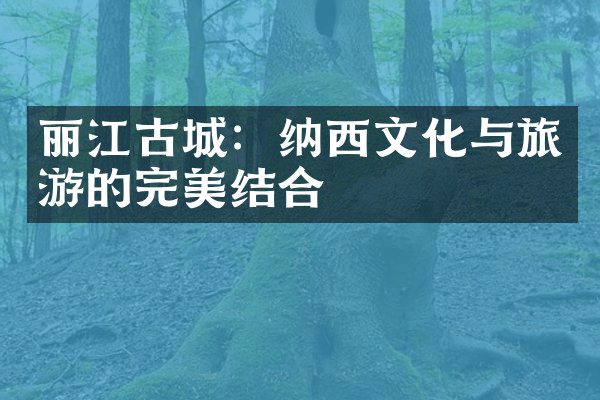 丽江古城：纳西文化与旅游的完美结合
