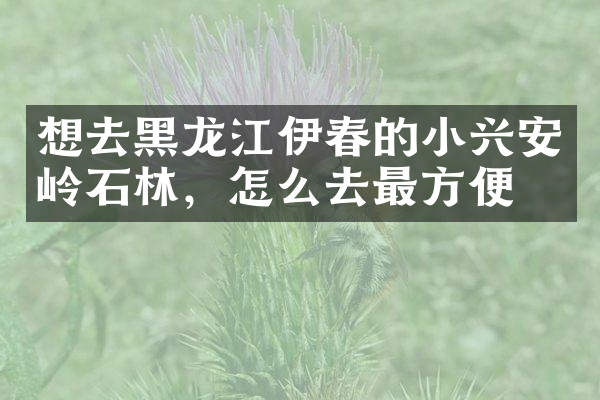 想去黑龙江伊春的小兴安岭石林，怎么去最方便