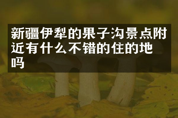 新疆伊犁的果子沟景点附近有什么不错的住的地方吗