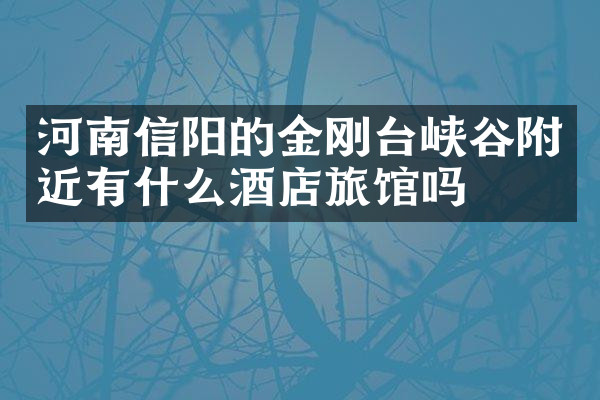 河南信阳的金刚台峡谷附近有什么酒店旅馆吗
