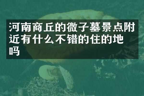 河南商丘的微子墓景点附近有什么不错的住的地方吗