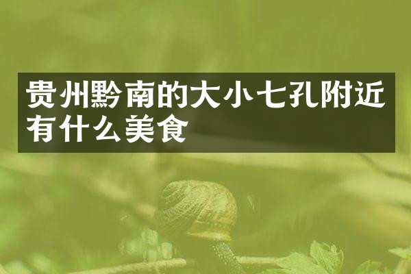 贵州黔南的大小七孔附近有什么美食