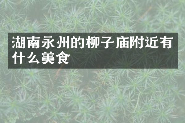 湖南永州的柳子庙附近有什么美食