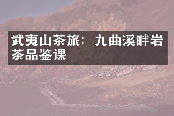 武夷山茶旅：九曲溪畔岩茶品鉴课