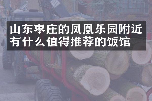 山东枣庄的凤凰乐园附近有什么值得推荐的饭馆吗