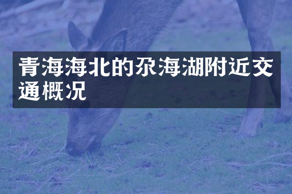 青海海北的尕海湖附近交通概况