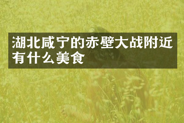 湖北咸宁的赤壁大战附近有什么美食