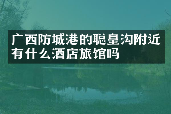 广西防城港的聪皇沟附近有什么酒店旅馆吗