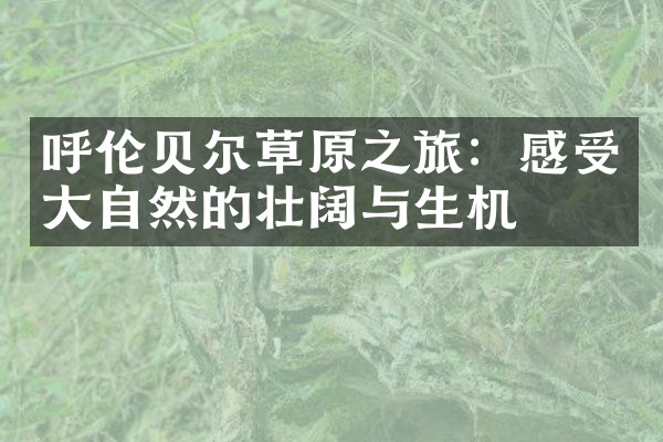 呼伦贝尔草原之旅：感受大自然的壮阔与生机