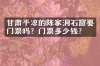 甘肃平凉的陈家洞石窟要门票吗？门票多少钱？
