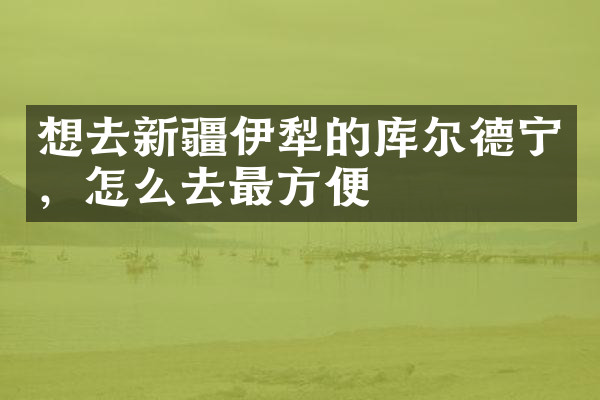 想去新疆伊犁的库尔德宁，怎么去最方便