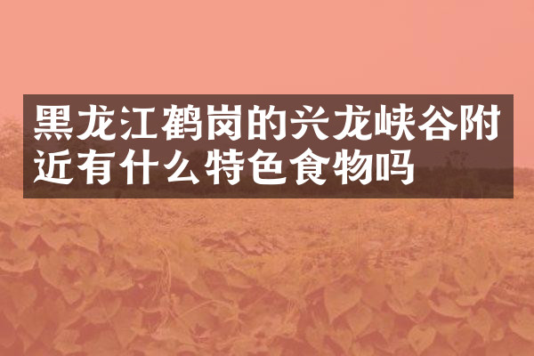 黑龙江鹤岗的兴龙峡谷附近有什么特色食物吗