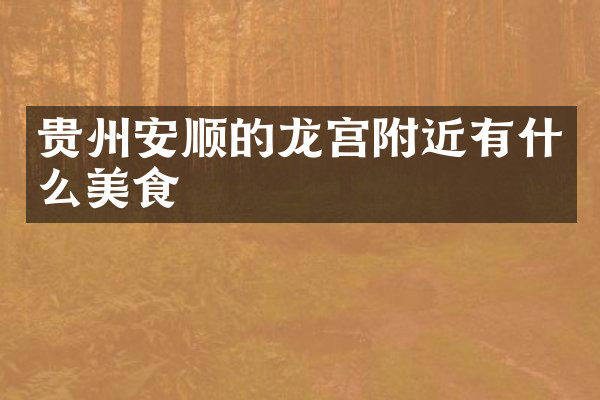 贵州安顺的龙宫附近有什么美食