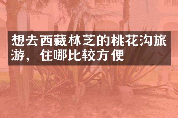 想去西藏林芝的桃花沟旅游，住哪比较方便