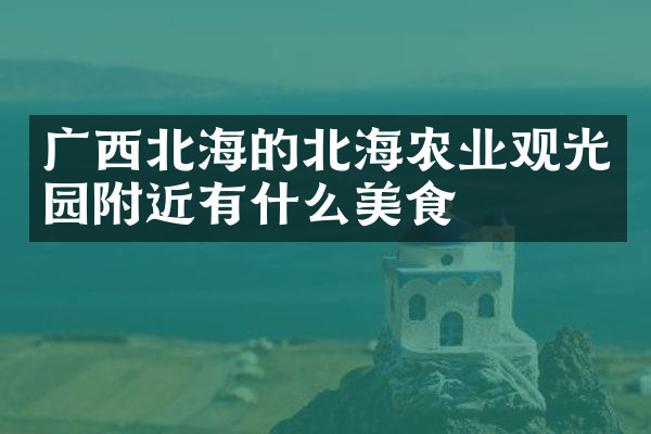 广西北海的北海农业观光园附近有什么美食