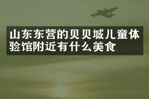 山东东营的贝贝城儿童体验馆附近有什么美食