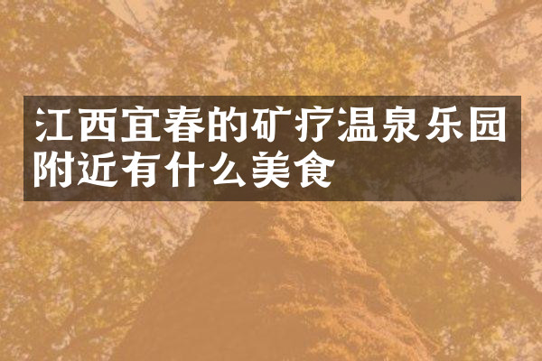 江西宜春的矿疗温泉乐园附近有什么美食