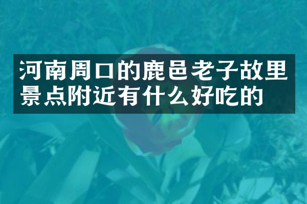 河南周口的鹿邑老子故里景点附近有什么好吃的