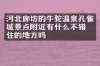 河北廊坊的牛驼温泉孔雀城景点附近有什么不错的住的地方吗