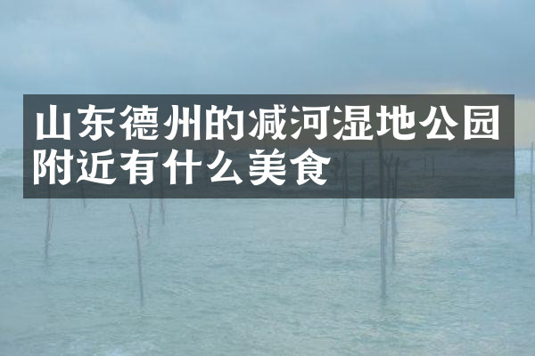 山东德州的减河湿地公园附近有什么美食