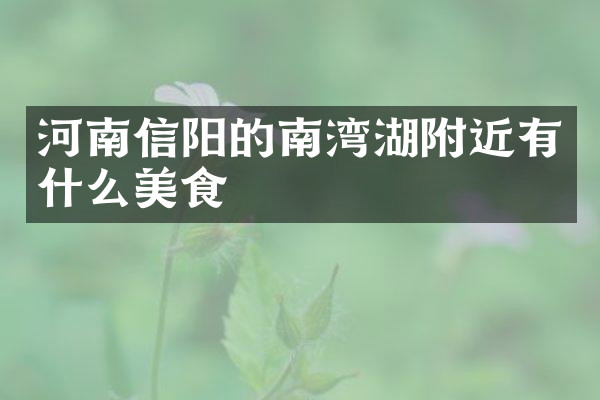 河南信阳的南湾湖附近有什么美食