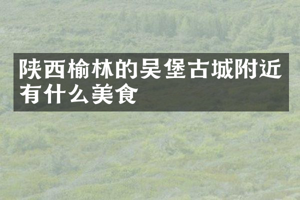 陕西榆林的吴堡古城附近有什么美食