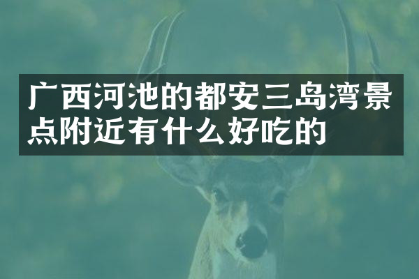 广西河池的都安三岛湾景点附近有什么好吃的
