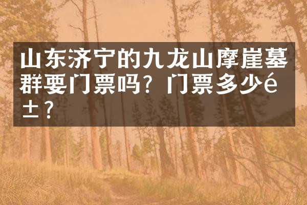 山东济宁的九龙山摩崖墓群要门票吗？门票多少钱？