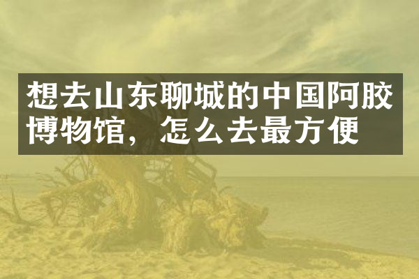 想去山东聊城的中国阿胶博物馆，怎么去最方便
