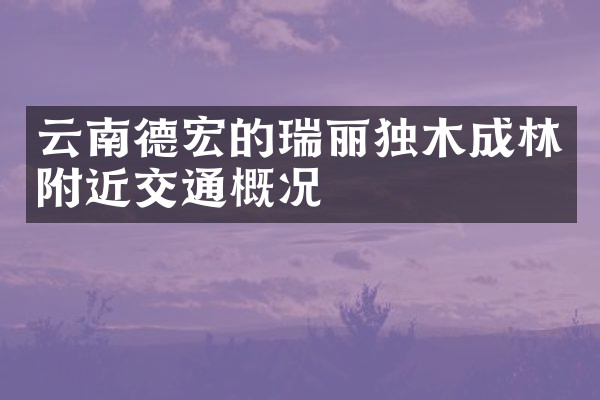 云南德宏的瑞丽独木成林附近交通概况