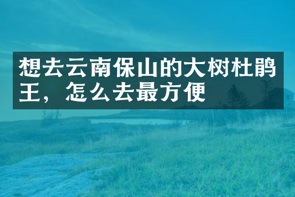 想去云南保山的大树杜鹃王，怎么去最方便