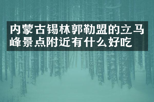内蒙古锡林郭勒盟的立马峰景点附近有什么好吃的