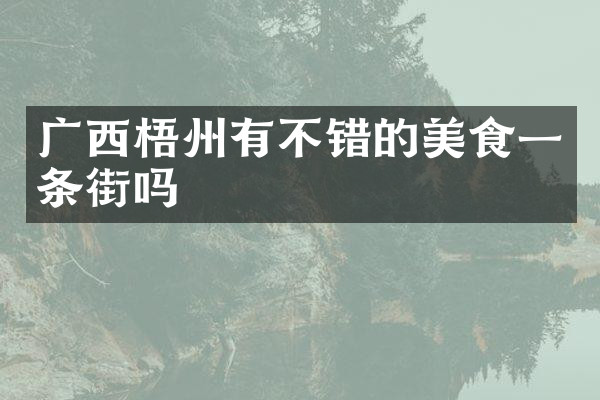 广西梧州有不错的美食一条街吗
