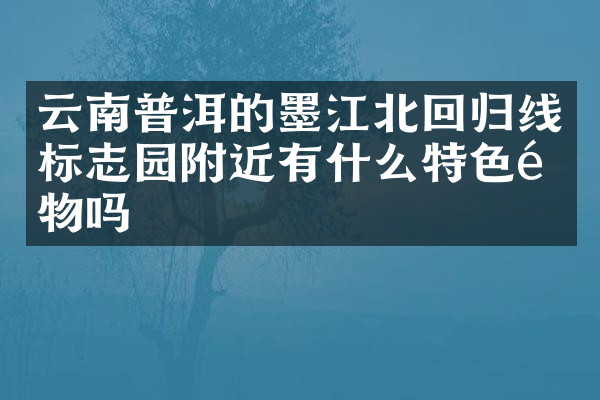 云南普洱的墨江北回归线标志园附近有什么特色食物吗