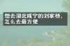 想去湖北咸宁的刘家桥，怎么去最方便