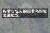 内蒙古包头的昭君岛附近交通概况