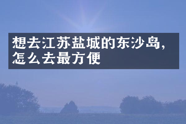 想去江苏盐城的东沙岛，怎么去最方便