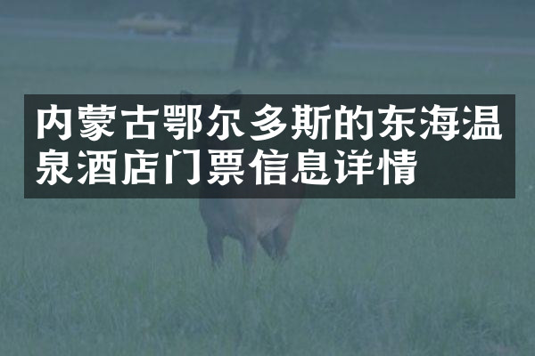 内蒙古鄂尔多斯的东海温泉酒店门票信息详情