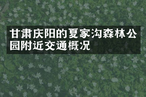 甘肃庆阳的夏家沟森林公园附近交通概况