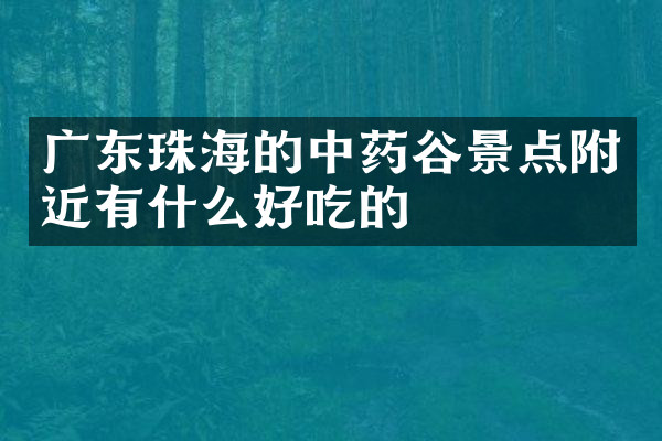 广东珠海的中药谷景点附近有什么好吃的