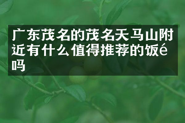 广东茂名的茂名天马山附近有什么值得推荐的饭馆吗